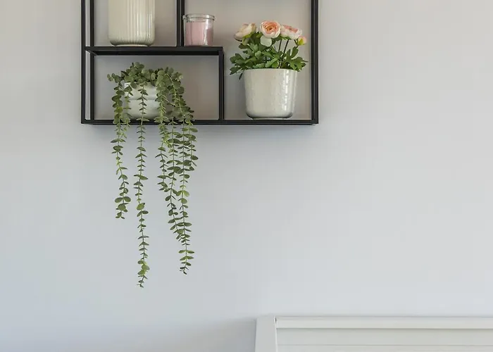 Panorama Bory Penthouse דירה